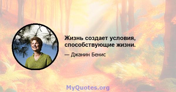 Жизнь создает условия, способствующие жизни.