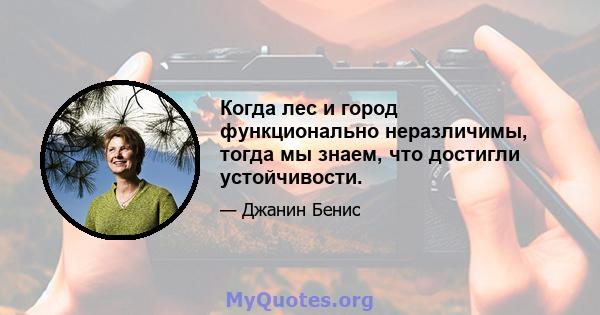 Когда лес и город функционально неразличимы, тогда мы знаем, что достигли устойчивости.