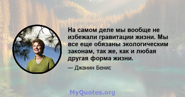 На самом деле мы вообще не избежали гравитации жизни. Мы все еще обязаны экологическим законам, так же, как и любая другая форма жизни.