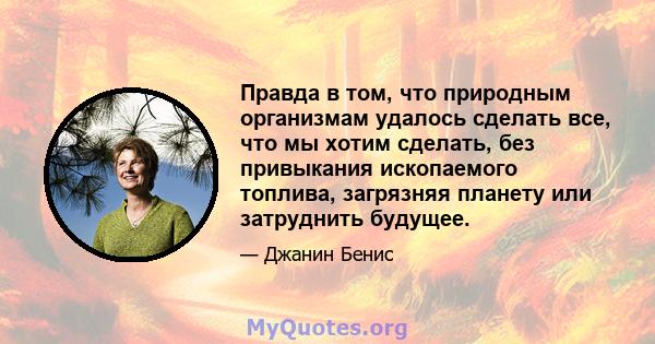 Правда в том, что природным организмам удалось сделать все, что мы хотим сделать, без привыкания ископаемого топлива, загрязняя планету или затруднить будущее.