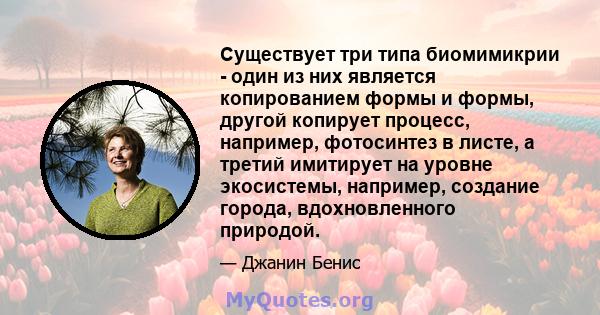 Существует три типа биомимикрии - один из них является копированием формы и формы, другой копирует процесс, например, фотосинтез в листе, а третий имитирует на уровне экосистемы, например, создание города,