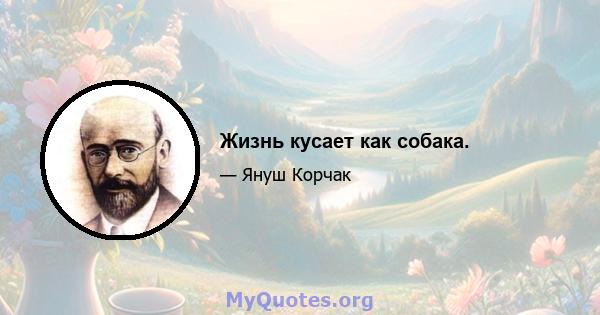 Жизнь кусает как собака.