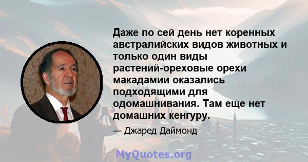 Даже по сей день нет коренных австралийских видов животных и только один виды растений-ореховые орехи макадамии оказались подходящими для одомашнивания. Там еще нет домашних кенгуру.