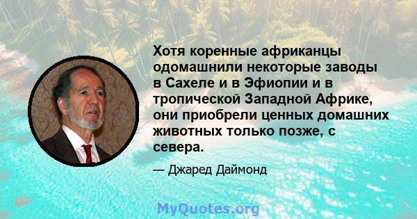 Хотя коренные африканцы одомашнили некоторые заводы в Сахеле и в Эфиопии и в тропической Западной Африке, они приобрели ценных домашних животных только позже, с севера.