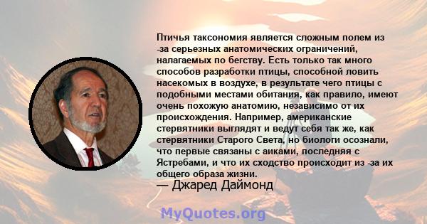 Птичья таксономия является сложным полем из -за серьезных анатомических ограничений, налагаемых по бегству. Есть только так много способов разработки птицы, способной ловить насекомых в воздухе, в результате чего птицы