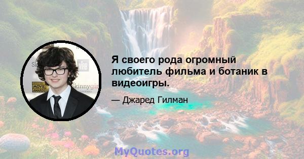 Я своего рода огромный любитель фильма и ботаник в видеоигры.