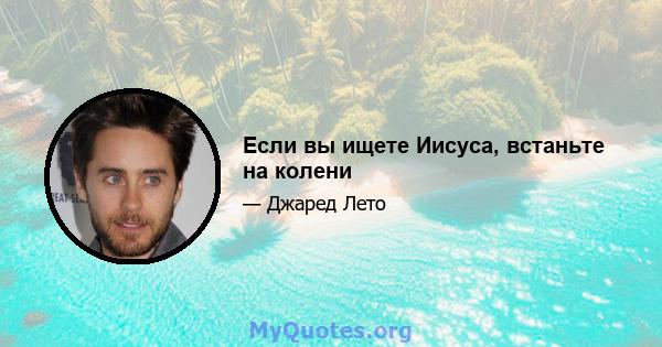 Если вы ищете Иисуса, встаньте на колени