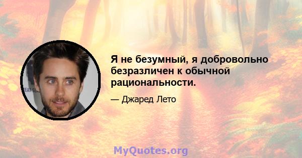 Я не безумный, я добровольно безразличен к обычной рациональности.