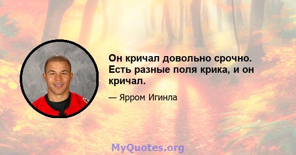 Он кричал довольно срочно. Есть разные поля крика, и он кричал.