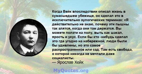 Когда Вейк впоследствии описал жизнь в сумасшедшем убежище, он сделал это в исключительно эулогических терминах: «Я действительно не знаю, почему эти пышны так злятся, когда они там держатся. Вы можете ползти на полу,