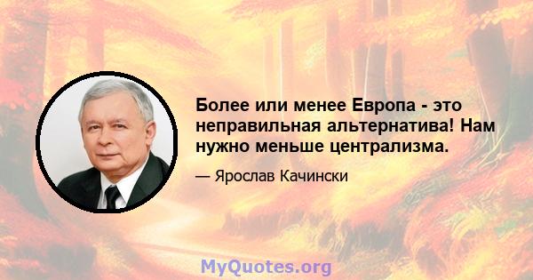 Более или менее Европа - это неправильная альтернатива! Нам нужно меньше централизма.