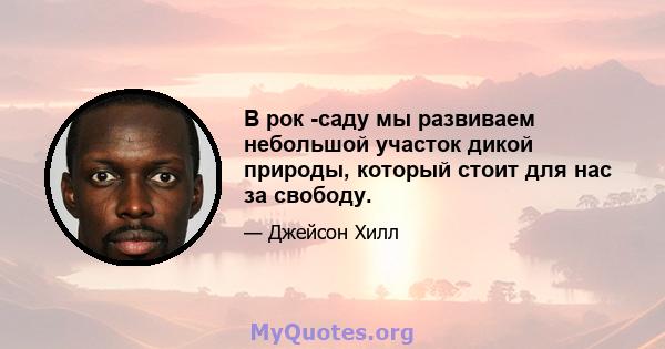 В рок -саду мы развиваем небольшой участок дикой природы, который стоит для нас за свободу.