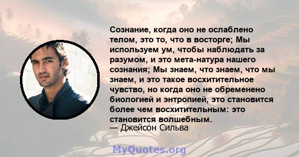 Сознание, когда оно не ослаблено телом, это то, что в восторге; Мы используем ум, чтобы наблюдать за разумом, и это мета-натура нашего сознания; Мы знаем, что знаем, что мы знаем, и это такое восхитительное чувство, но