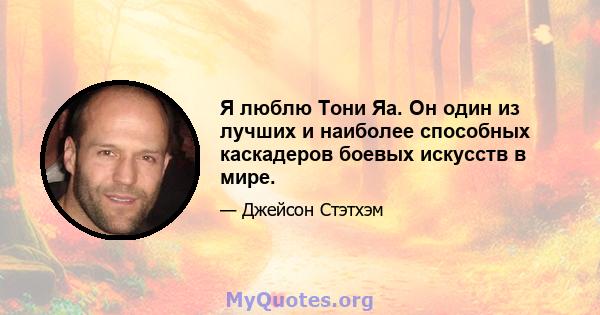 Я люблю Тони Яа. Он один из лучших и наиболее способных каскадеров боевых искусств в мире.