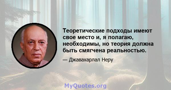 Теоретические подходы имеют свое место и, я полагаю, необходимы, но теория должна быть смягчена реальностью.