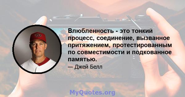 Влюбленность - это тонкий процесс, соединение, вызванное притяжением, протестированным по совместимости и подкованное памятью.