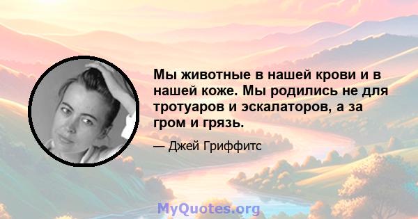 Мы животные в нашей крови и в нашей коже. Мы родились не для тротуаров и эскалаторов, а за гром и грязь.