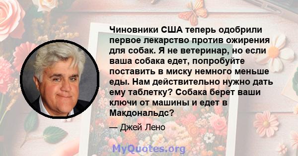 Чиновники США теперь одобрили первое лекарство против ожирения для собак. Я не ветеринар, но если ваша собака едет, попробуйте поставить в миску немного меньше еды. Нам действительно нужно дать ему таблетку? Собака