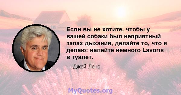 Если вы не хотите, чтобы у вашей собаки был неприятный запах дыхания, делайте то, что я делаю: налейте немного Lavoris в туалет.