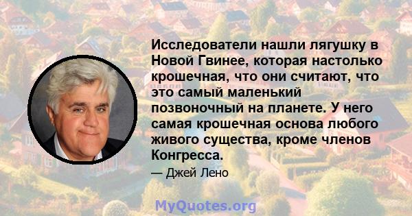 Исследователи нашли лягушку в Новой Гвинее, которая настолько крошечная, что они считают, что это самый маленький позвоночный на планете. У него самая крошечная основа любого живого существа, кроме членов Конгресса.