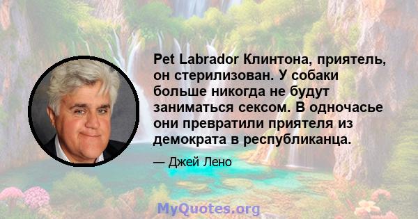 Pet Labrador Клинтона, приятель, он стерилизован. У собаки больше никогда не будут заниматься сексом. В одночасье они превратили приятеля из демократа в республиканца.