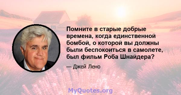 Помните в старые добрые времена, когда единственной бомбой, о которой вы должны были беспокоиться в самолете, был фильм Роба Шнайдера?