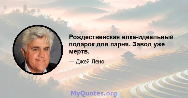 Рождественская елка-идеальный подарок для парня. Завод уже мертв.