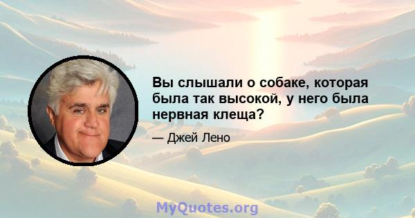 Вы слышали о собаке, которая была так высокой, у него была нервная клеща?