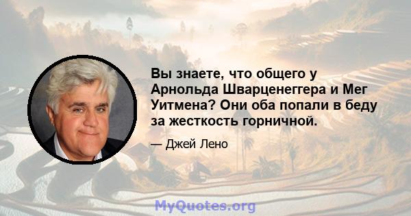 Вы знаете, что общего у Арнольда Шварценеггера и Мег Уитмена? Они оба попали в беду за жесткость горничной.