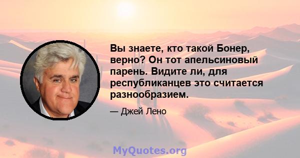 Вы знаете, кто такой Бонер, верно? Он тот апельсиновый парень. Видите ли, для республиканцев это считается разнообразием.