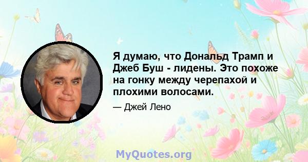 Я думаю, что Дональд Трамп и Джеб Буш - лидены. Это похоже на гонку между черепахой и плохими волосами.