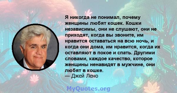 Я никогда не понимал, почему женщины любят кошек. Кошки независимы, они не слушают, они не приходят, когда вы звоните, им нравится оставаться на всю ночь, и когда они дома, им нравится, когда их оставляют в покое и