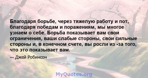 Благодаря борьбе, через тяжелую работу и пот, благодаря победам и поражениям, мы многое узнаем о себе. Борьба показывает вам свои ограничения, ваши слабые стороны, свои сильные стороны и, в конечном счете, вы росли из