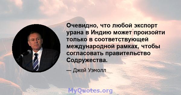 Очевидно, что любой экспорт урана в Индию может произойти только в соответствующей международной рамках, чтобы согласовать правительство Содружества.