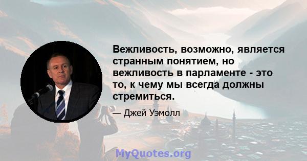 Вежливость, возможно, является странным понятием, но вежливость в парламенте - это то, к чему мы всегда должны стремиться.