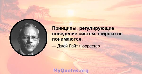 Принципы, регулирующие поведение систем, широко не понимаются.