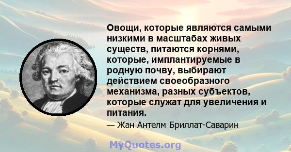 Овощи, которые являются самыми низкими в масштабах живых существ, питаются корнями, которые, имплантируемые в родную почву, выбирают действием своеобразного механизма, разных субъектов, которые служат для увеличения и