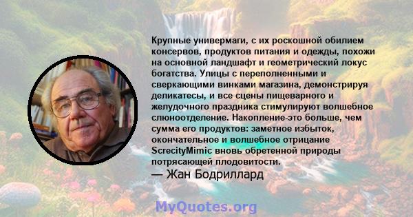 Крупные универмаги, с их роскошной обилием консервов, продуктов питания и одежды, похожи на основной ландшафт и геометрический локус богатства. Улицы с переполненными и сверкающими винками магазина, демонстрируя