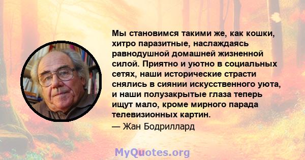 Мы становимся такими же, как кошки, хитро паразитные, наслаждаясь равнодушной домашней жизненной силой. Приятно и уютно в социальных сетях, наши исторические страсти снялись в сиянии искусственного уюта, и наши