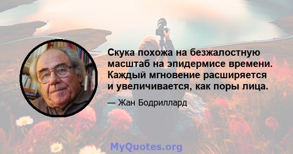 Скука похожа на безжалостную масштаб на эпидермисе времени. Каждый мгновение расширяется и увеличивается, как поры лица.