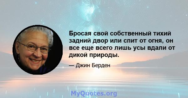 Бросая свой собственный тихий задний двор или спит от огня, он все еще всего лишь усы вдали от дикой природы.