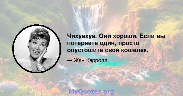 Чихуахуа. Они хороши. Если вы потеряете один, просто опустошите свой кошелек.