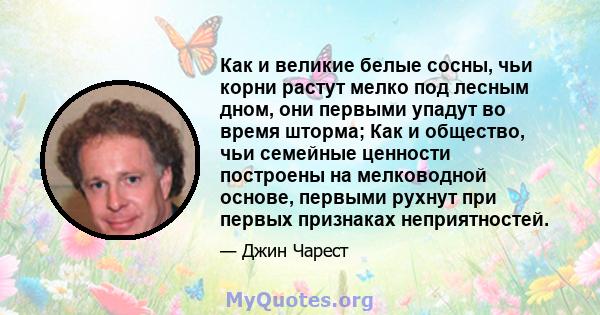 Как и великие белые сосны, чьи корни растут мелко под лесным дном, они первыми упадут во время шторма; Как и общество, чьи семейные ценности построены на мелководной основе, первыми рухнут при первых признаках