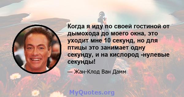 Когда я иду по своей гостиной от дымохода до моего окна, это уходит мне 10 секунд, но для птицы это занимает одну секунду, и на кислород -нулевые секунды!