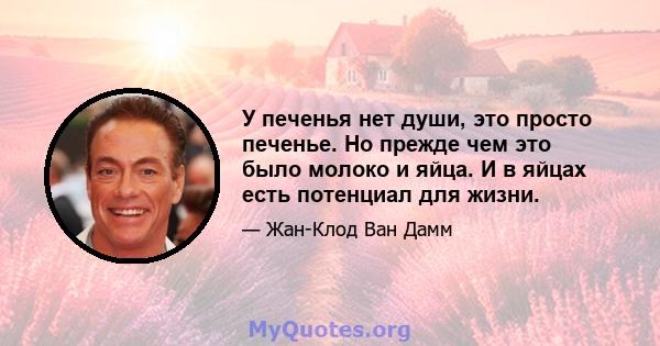 У печенья нет души, это просто печенье. Но прежде чем это было молоко и яйца. И в яйцах есть потенциал для жизни.