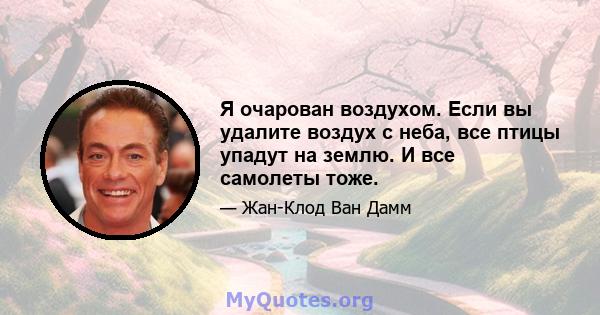 Я очарован воздухом. Если вы удалите воздух с неба, все птицы упадут на землю. И все самолеты тоже.