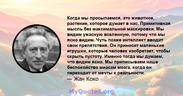 Когда мы просыпаемся, это животное, растение, которое думает в нас. Примитивная мысль без максимальной маскировки. Мы видим ужасную вселенную, потому что мы ясно видим. Чуть позже интеллект вводит свои препятствия. Он