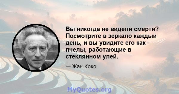 Вы никогда не видели смерти? Посмотрите в зеркало каждый день, и вы увидите его как пчелы, работающие в стеклянном улей.