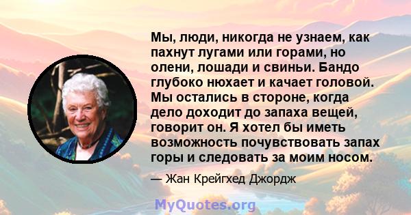 Мы, люди, никогда не узнаем, как пахнут лугами или горами, но олени, лошади и свиньи. Бандо глубоко нюхает и качает головой. Мы остались в стороне, когда дело доходит до запаха вещей, говорит он. Я хотел бы иметь