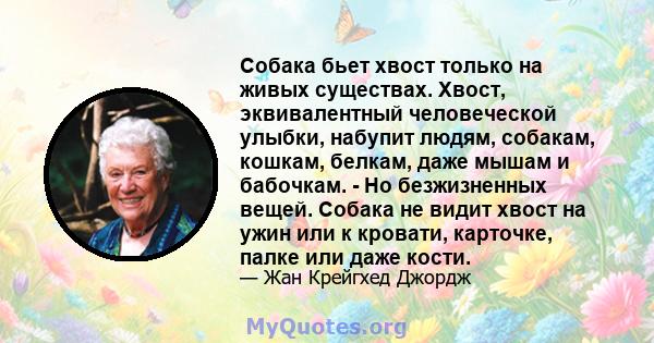 Собака бьет хвост только на живых существах. Хвост, эквивалентный человеческой улыбки, набупит людям, собакам, кошкам, белкам, даже мышам и бабочкам. - Но безжизненных вещей. Собака не видит хвост на ужин или к кровати, 